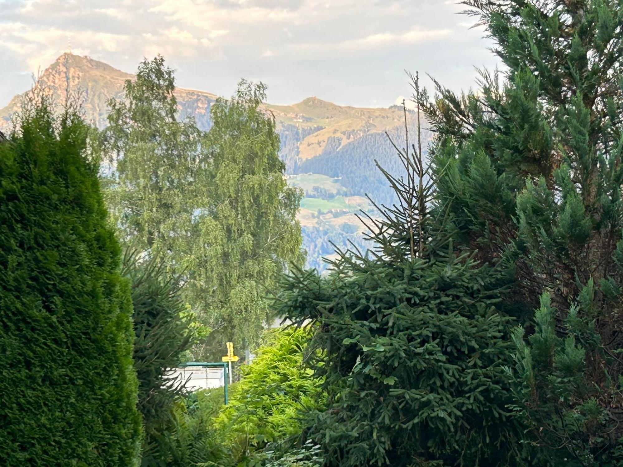 Fleckalm Chalets Kirchberg in Tirol Kültér fotó