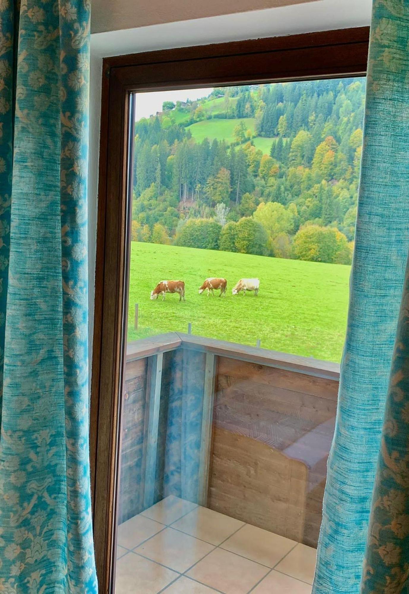 Fleckalm Chalets Kirchberg in Tirol Szoba fotó